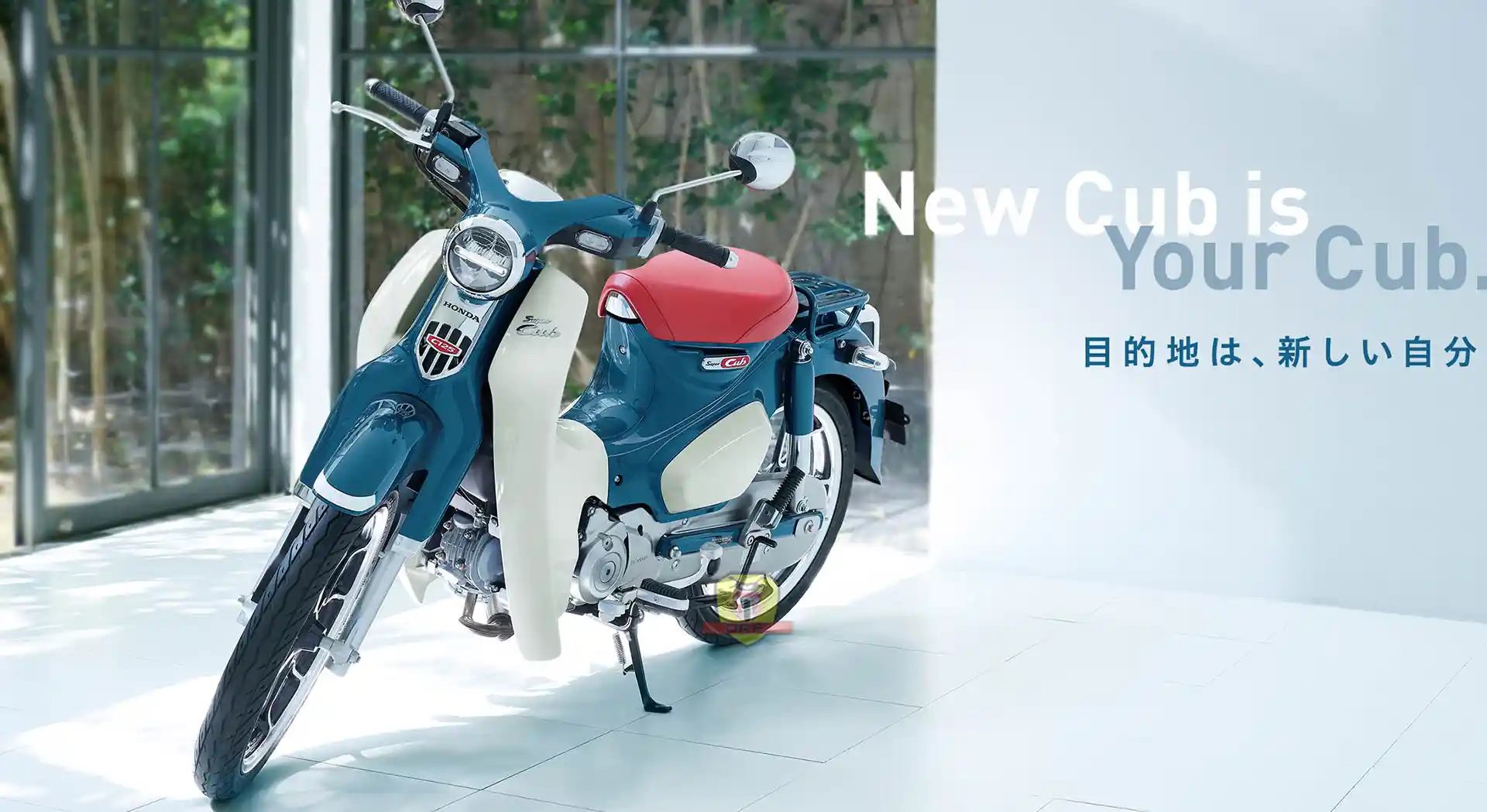 Honda Super Cub C125 Model 2024 : Legend Moped Motorbike Launches with Updates